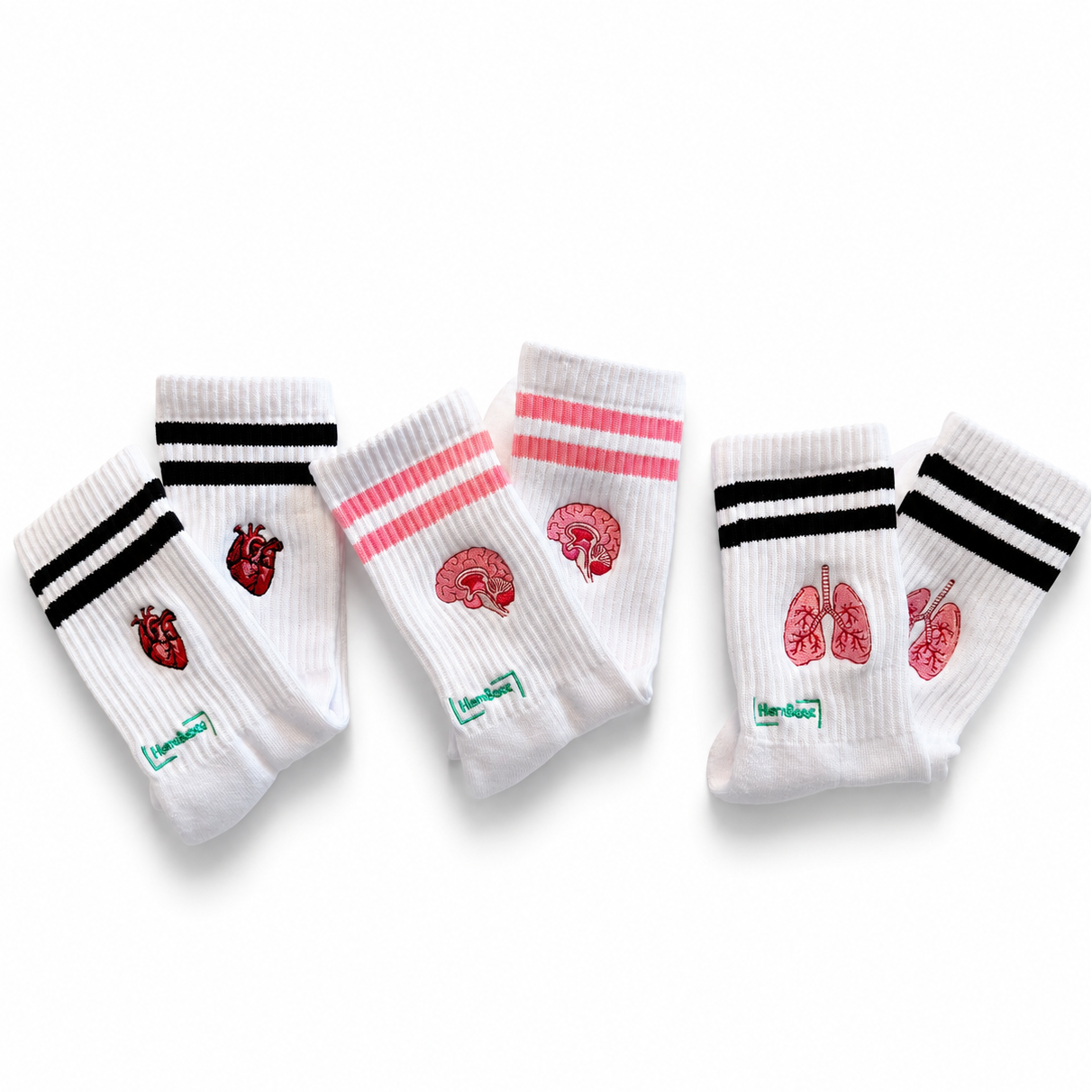 Anatomie - Bundle zum Vorteilspreis