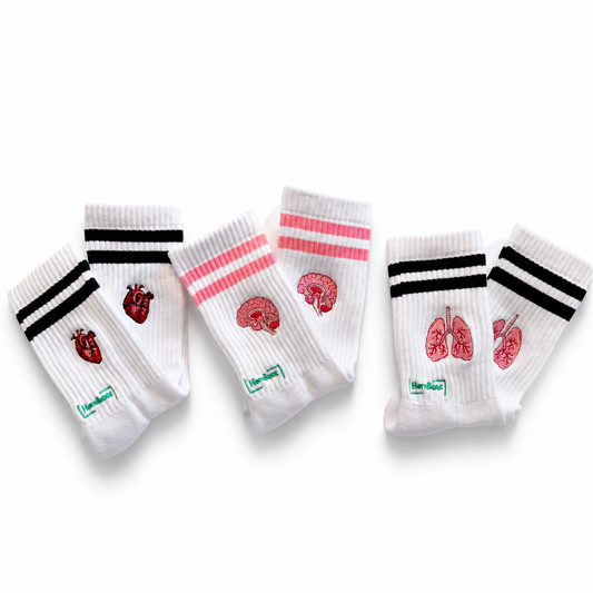 Anatomie - Bundle zum Vorteilspreis