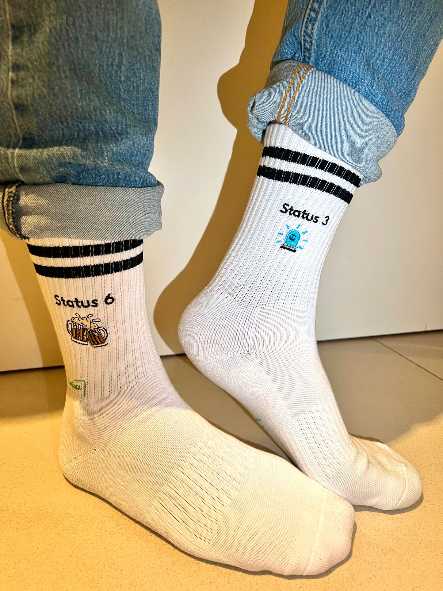 Status 3 / Status 6 - Socken