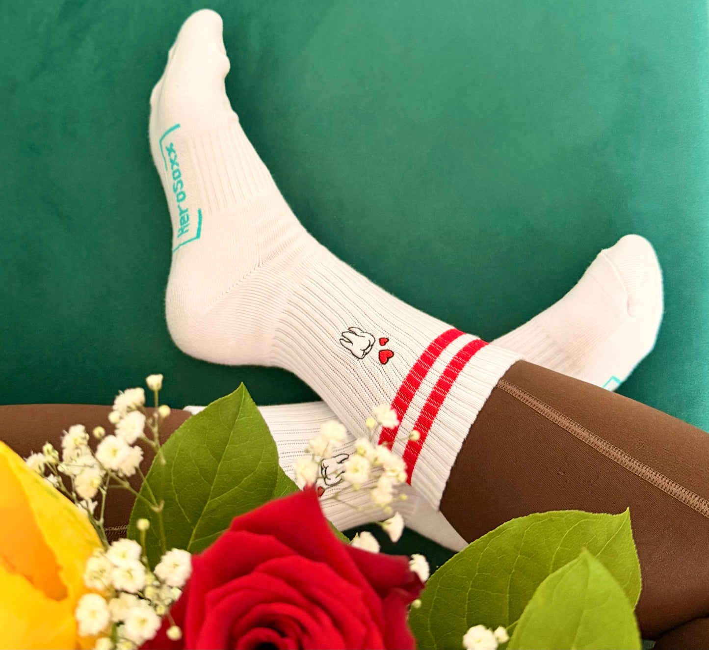 Zahnmedizin - Socken