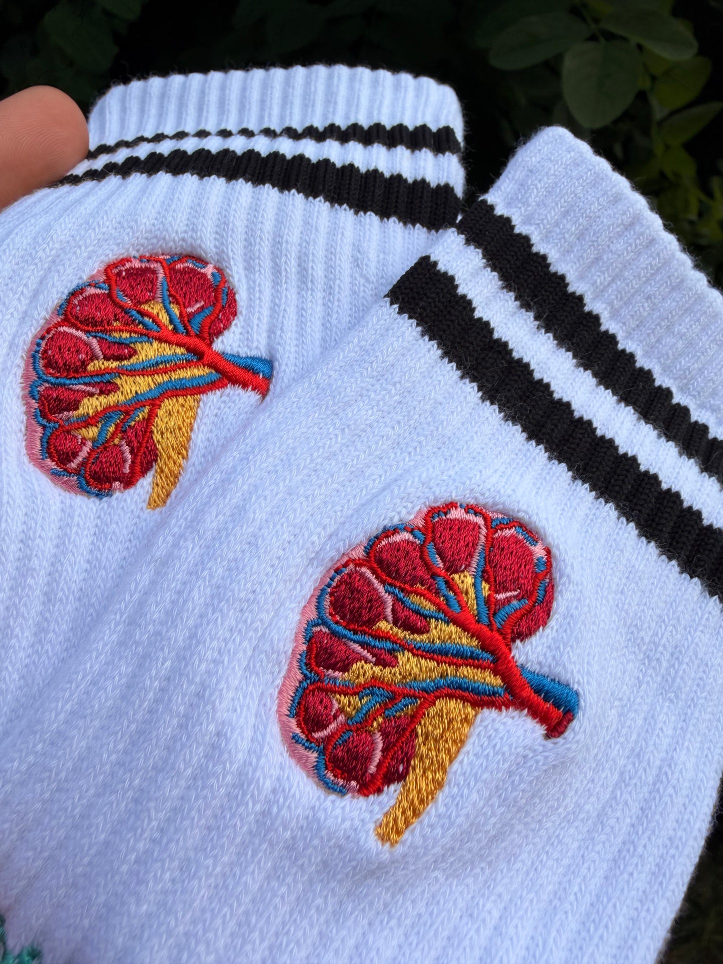 Nieren - Socken