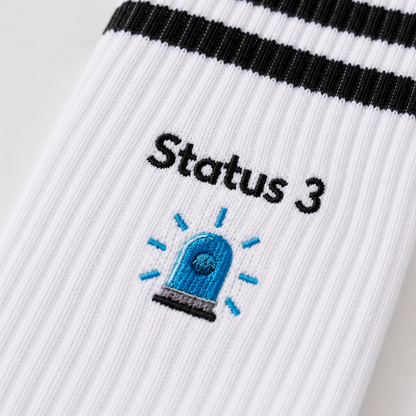 Status 3 / Status 6 - Socken